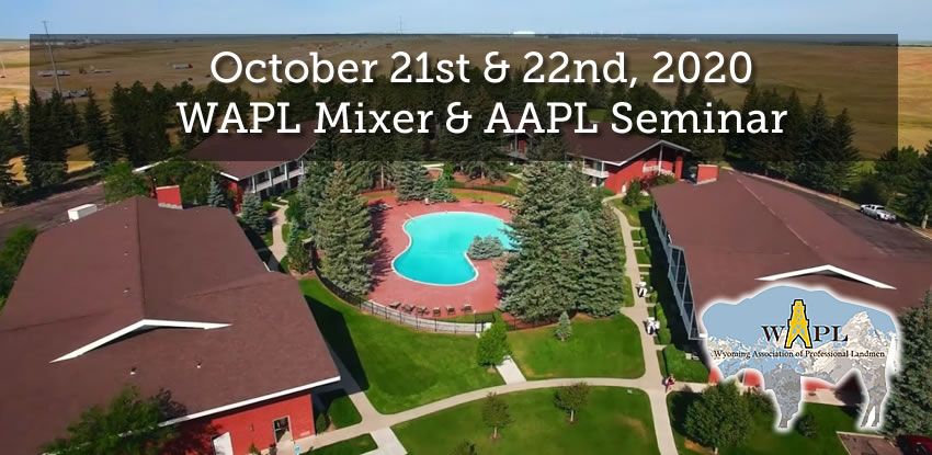October 2020 WAPL Mixer & AAPL Seminar